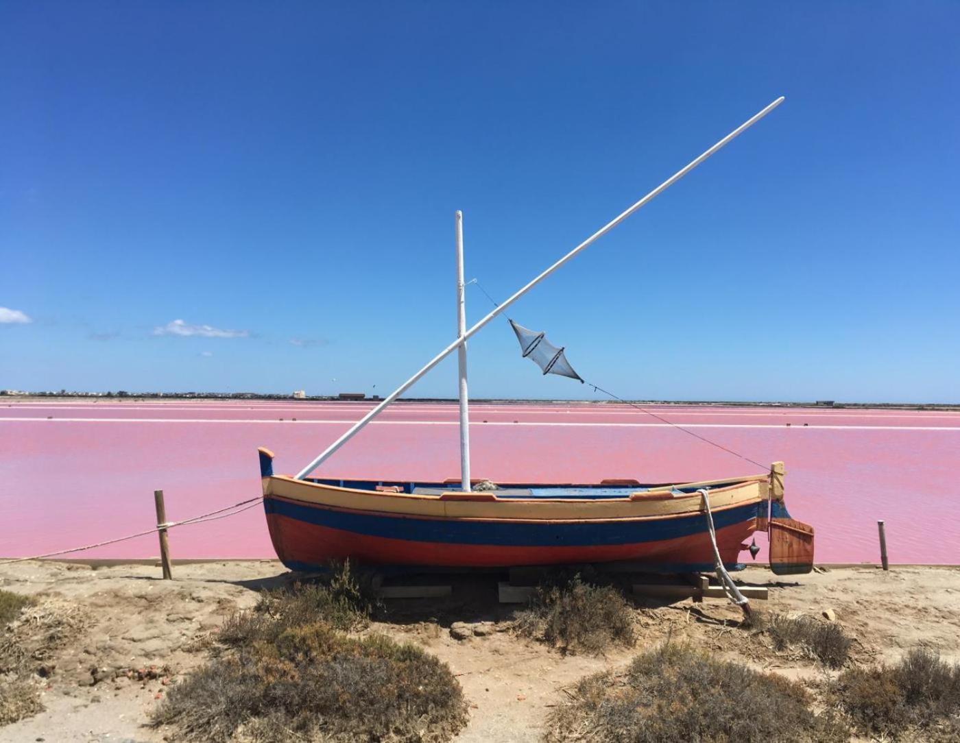 Maison De Vacances 8 A 15 Pers A Proximite Du Canal Du Midi Sallèles-dʼAude Екстериор снимка